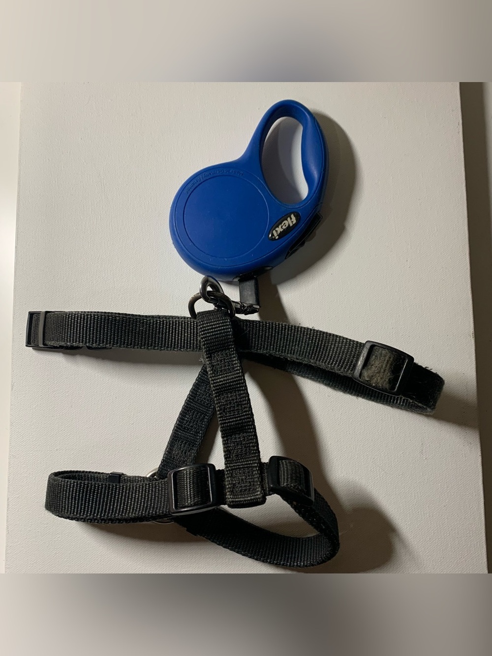 Blue Flexi retractable leash paired with a black nylon pet harness